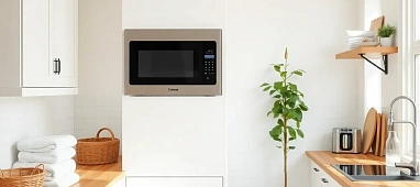 Ремонт микроволновых печей Neff
